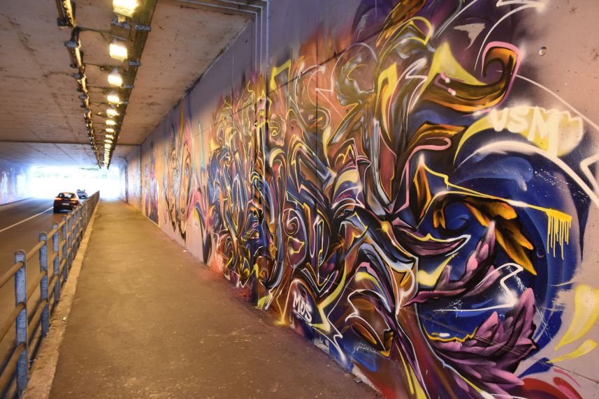 Murales Street art sottopasso di Via Reggio