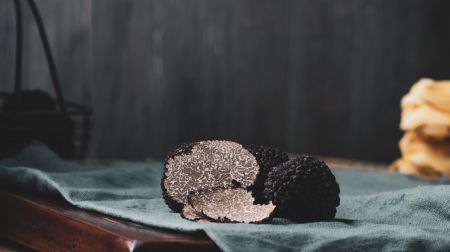 Bedonia Truffle Fair