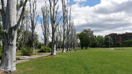 Parco Falcone Borsellino