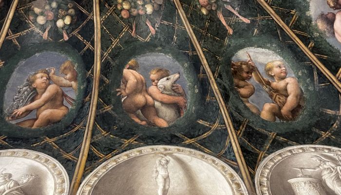 La Camera di San Paolo. Gli  affreschi di Correggio e Alessandro Araldi – Visita guidata