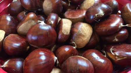Chestnut Festival in Bore