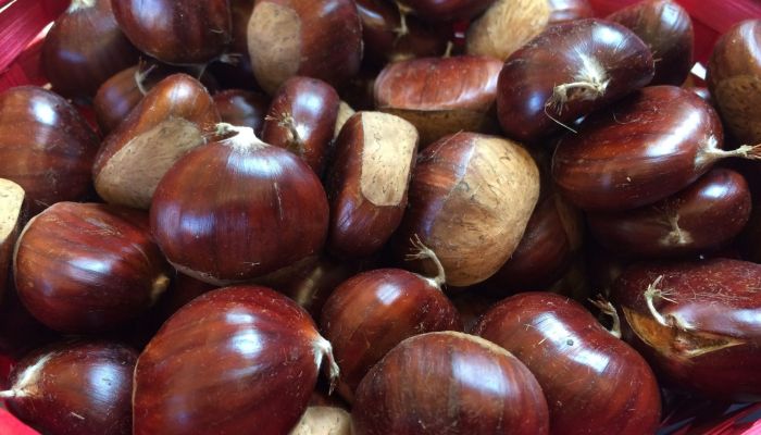 Chestnut Festival in Bore